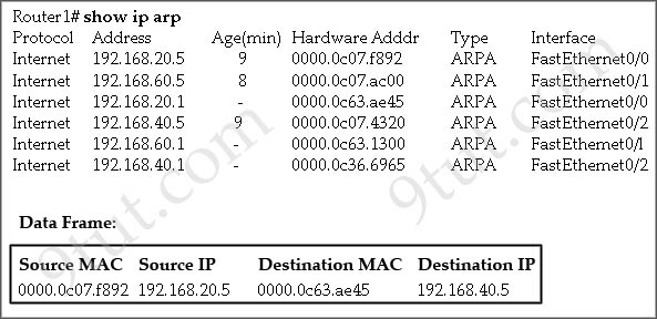 show_ip_arp.jpg